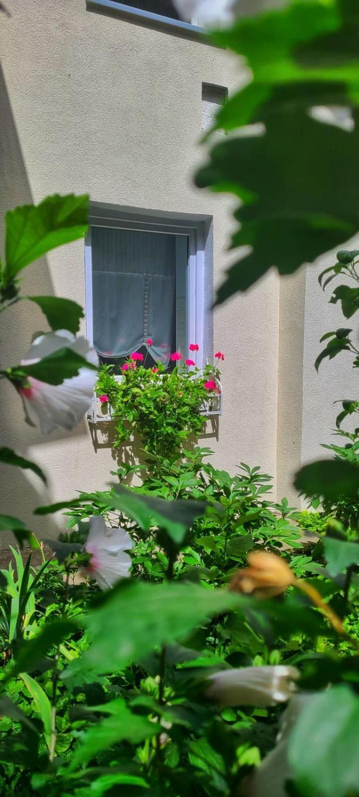 Anna'S Guesthouse Клуж-Напока Экстерьер фото